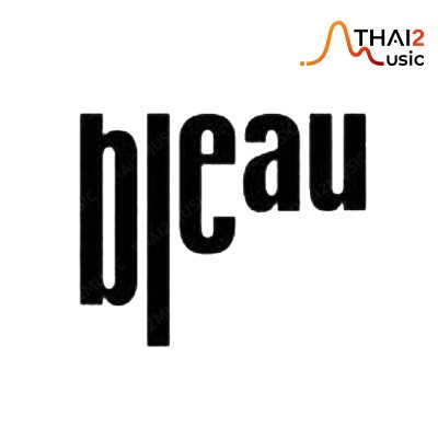 ติดต่องานจ้าง บลู ภูฟ้า ไชยนิลวงศ์ (Bleau) ผ่านทาง Thai2Music