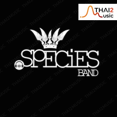 ติดต่องานจ้าง สปีชี่ส์ (SPECIES’Z) ผ่านทาง Thai2Music