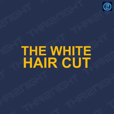 ติดต่องาน ประสานงาน ศิลปิน เดอะไวท์แฮร์คัท (The White Hair Cut) ผ่านทาง Thai2Music